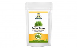 Soul Centric Barley Grass Organic Raw Powder  Pack  100 grams